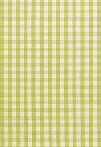 Elton Cotton Check Pear 63055 by Schumacher Designer Fabric