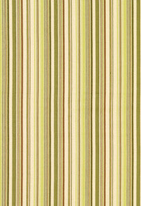 Malibu Stripe Pear 63453 by Schumacher Designer Fabric