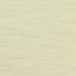 Meadow Weave Celadon 63642 by Schumacher Designer Fabric