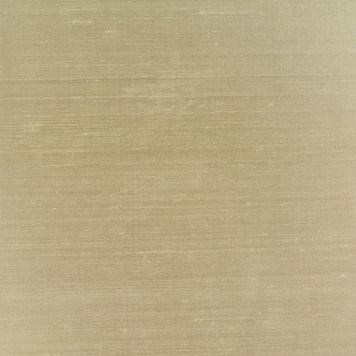 Bellini Silk Celadon 63801 by Schumacher Designer Fabric ESSENTIAL PLAINS / SILK See Sample INDIA NOT APPLICABLE </p><p>Repeat: Horizontal: - and Vertical: - 54" WIDE (137CM) - Swanky Fabrics -