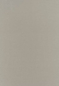 Botticelli Silk Taffeta Fog 63818 by Schumacher Designer Fabric