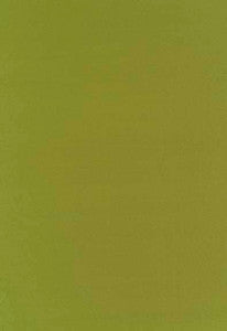 Botticelli Silk Taffeta Apple 63827 by Schumacher Designer Fabric