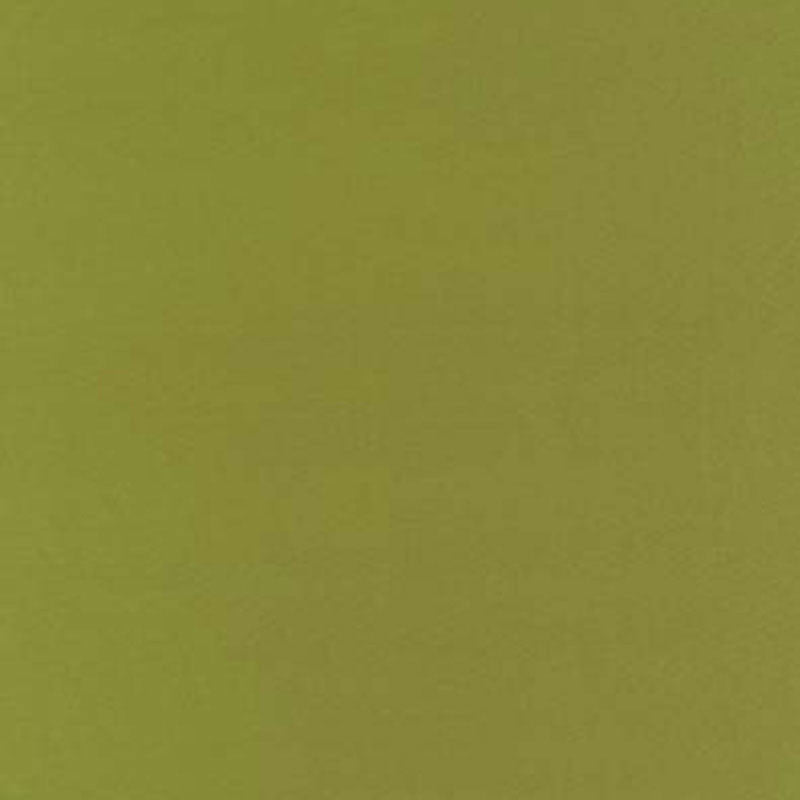 Botticelli Silk Taffeta Apple 63827 by Schumacher Designer Fabric ESSENTIAL PLAINS / SILK SILK 100% INDIA </p><p>Repeat: Horizontal: and Vertical: 54 - Swanky Fabrics -