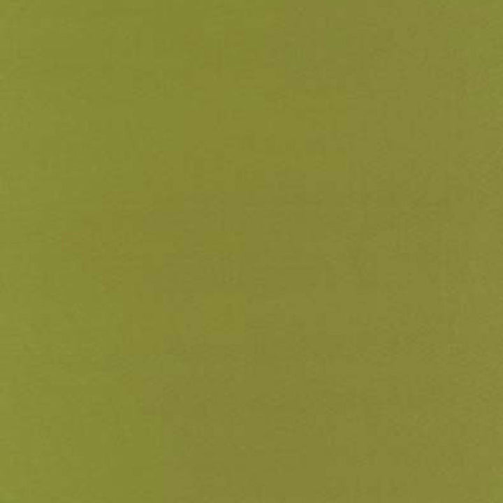 Botticelli Silk Taffeta Apple 63827 by Schumacher Fabric Schumacher Fabric Botticelli Silk Taffeta Apple 63827Fabric SILK 100% INDIA </p><p>Repeat: H: , V: 54 - Fabric Carolina -