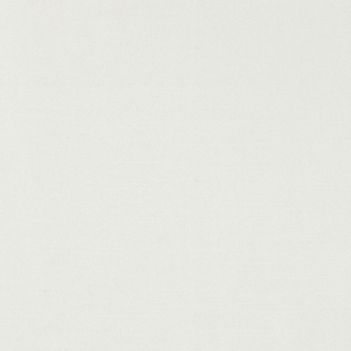 Tiepolo Shantung Weave Snow 63847 by Schumacher Fabric Schumacher Fabric Tiepolo Shantung Weave Snow 63847Fabric POLYESTER 100% INDIA </p><p>Repeat: H: , V: 54 - Fabric Carolina -
