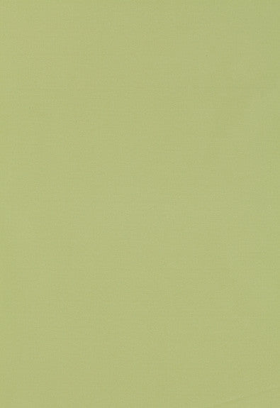 Giordano Taffeta Mint Julep 63971 by Schumacher Designer Fabric Mirage 100% Polyester Wyzenbeek 30,000 Horizontal: - and Vertical: - 54 - Swanky Fabrics -