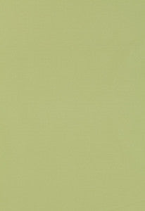 Giordano Taffeta Mint Julep 63971 by Schumacher Designer Fabric
