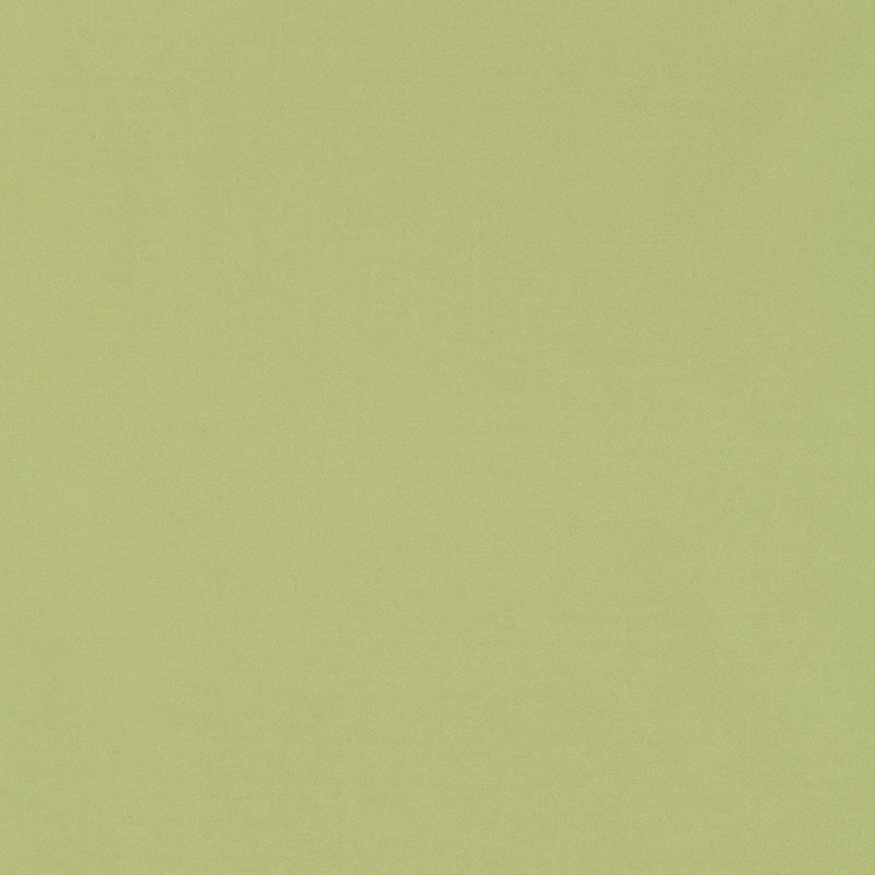 Giordano Taffeta Mint Julep 63971 by Schumacher Designer Fabric MIRAGE / TEXTURES & PLAINS POLYESTER 100% TURKEY WYZENBEEK 30,000 </p><p>Repeat: Horizontal: and Vertical: 54 - Swanky Fabrics -