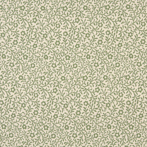 6419 Spring Trellis by Charlotte Designer Fabric