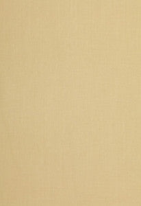 Blythe Weave Chamomile 64359 by Schumacher Designer Fabric