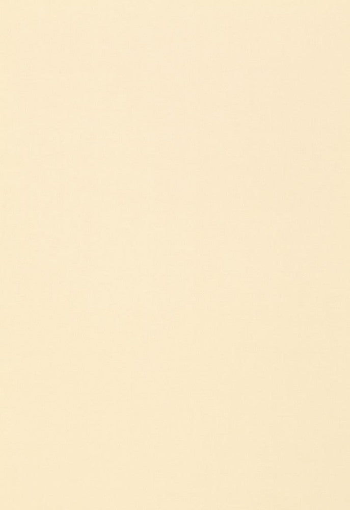 Isolde Cotton Weave Chamois 64379 by Schumacher Designer Fabric COLLECTION-NAME-TBA-64370 100% Cotton Martindale 10,000 Horizontal: - and Vertical: - 57 - Swanky Fabrics -