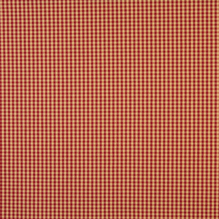 6446 Ruby by Charlotte Designer Fabric Ring Book Page #60 64% Acrylic, 36% Polyester Made In USA Exceeds 70,000 Wyzenbeek Rubs (Heavy Duty) Horizontal: 0.50" x Vertical: 0.5" 54 Inches - Swanky Fabrics -