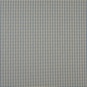 6447 Wedgewood by Charlotte Designer Fabric