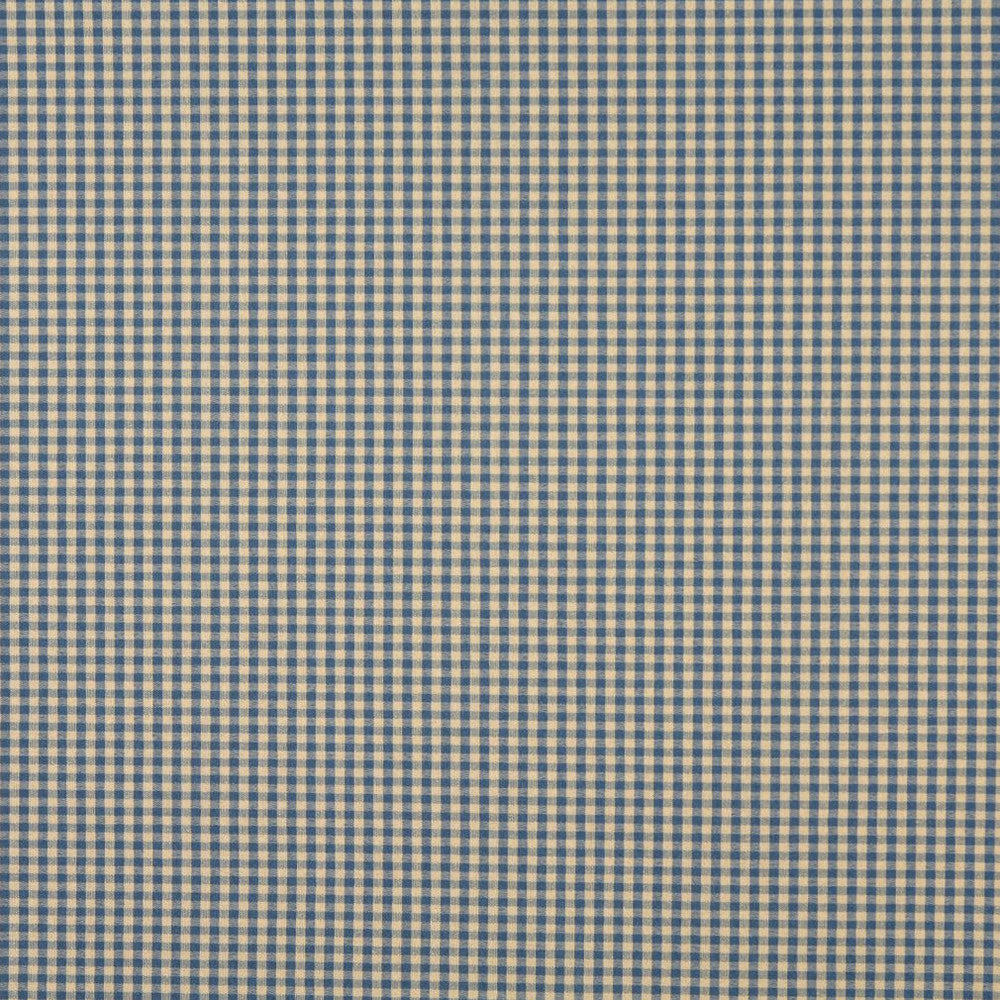 6447 Wedgewood by Charlotte Designer Fabric Ring Book Page #60 64% Acrylic, 36% Polyester Made In USA Exceeds 70,000 Wyzenbeek Rubs (Heavy Duty) Horizontal: 0.50" x Vertical: 0.5" 54 Inches - Swanky Fabrics -