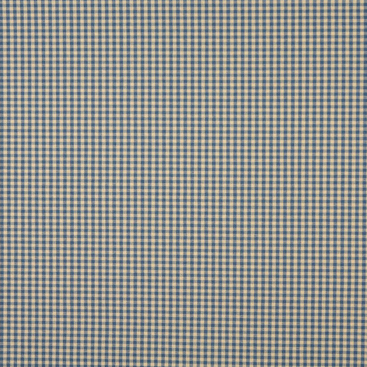 6447 Wedgewood by Charlotte Designer Fabric Ring Book Page #60 64% Acrylic, 36% Polyester Made In USA Exceeds 70,000 Wyzenbeek Rubs (Heavy Duty) Horizontal: 0.50" x Vertical: 0.5" 54 Inches - Swanky Fabrics -