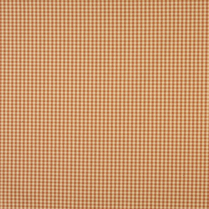 6448 Camel by Charlotte Designer Fabric Ring Book Page #60 64% Acrylic, 36% Polyester Made In USA Exceeds 70,000 Wyzenbeek Rubs (Heavy Duty) Horizontal: 0.50" x Vertical: 0.5" 54 Inches - Swanky Fabrics -