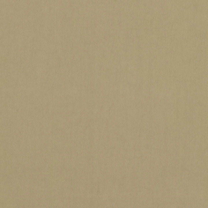 Tristan Cotton Weave Chickory 64502 by Schumacher Fabric Schumacher Fabric Tristan Cotton Weave Chickory 64502Fabric COTTON 100% ITALY </p><p>Repeat: H: 0, V: 0 54 - Fabric Carolina -