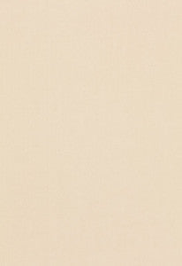 Tristan Cotton Weave Oat 64505 by Schumacher Designer Fabric