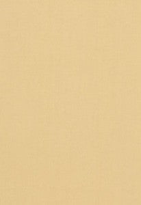 Tristan Cotton Weave Chamois 64508 by Schumacher Designer Fabric