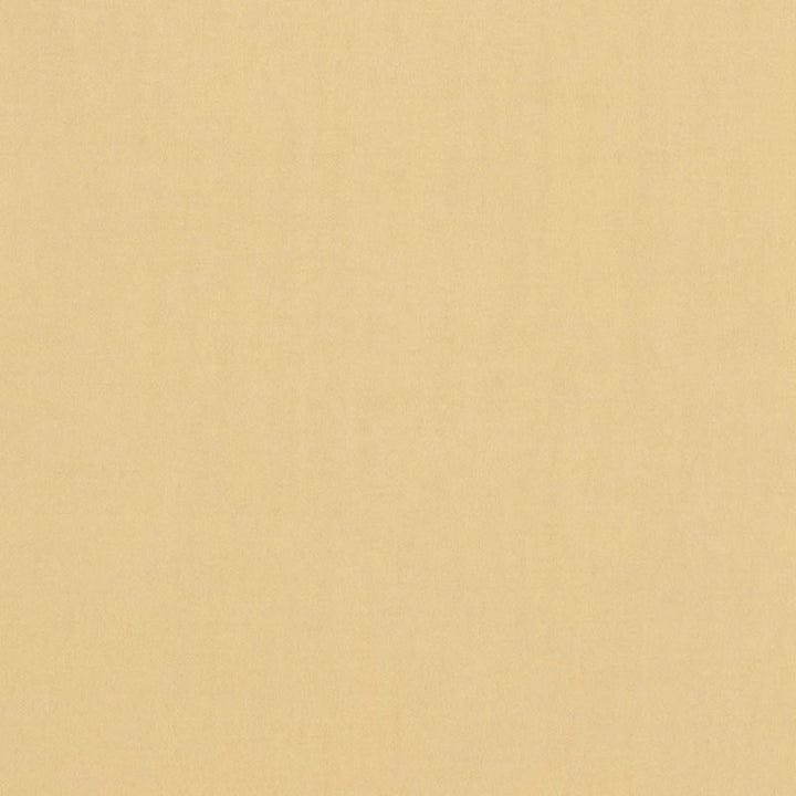 Tristan Cotton Weave Chamois 64508 by Schumacher Designer Fabric ESSENTIAL PLAINS / LINEN & COTTON See Sample ITALY . </p><p>Repeat: Horizontal: - and Vertical: - 54" WIDE (137CM) - Swanky Fabrics -