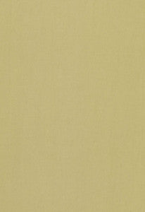 Tristan Cotton Weave Sage 64515 by Schumacher Designer Fabric