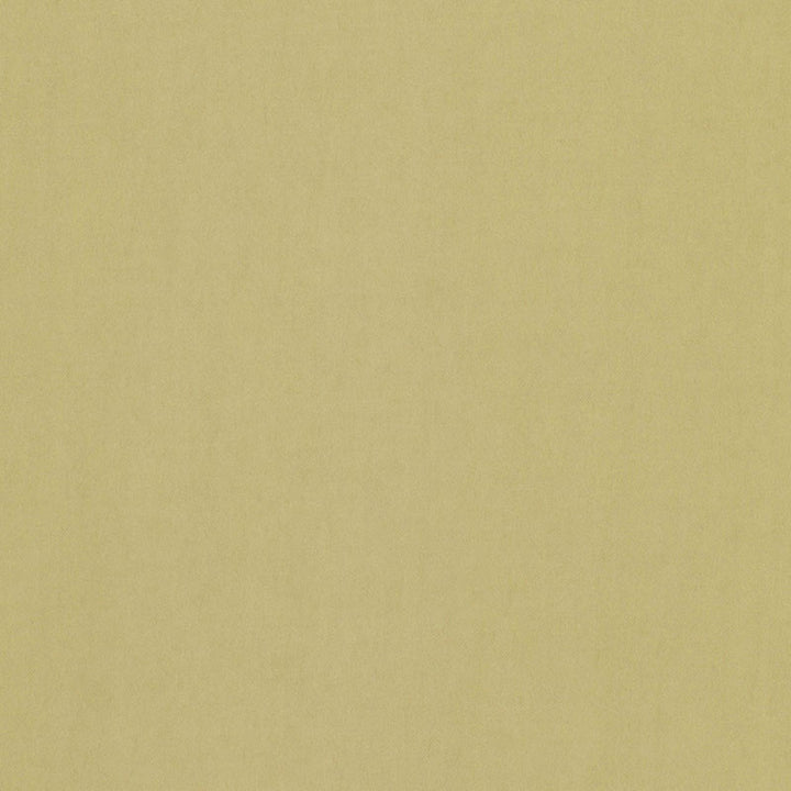 Tristan Cotton Weave Sage 64515 by Schumacher Designer Fabric ESSENTIAL PLAINS / LINEN & COTTON See Sample ITALY . </p><p>Repeat: Horizontal: - and Vertical: - 54" WIDE (137CM) - Swanky Fabrics -