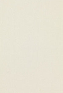 Tristan Cotton Weave Celadon 64516 by Schumacher Designer Fabric