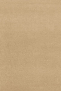 Gainsborough Velvet Malt 64531 by Schumacher Designer Fabric