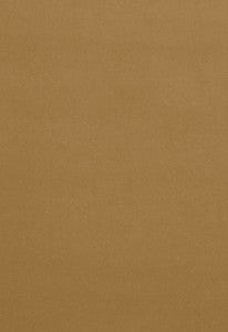 Gainsborough Velvet Split Pea 64561 by Schumacher Designer Fabric