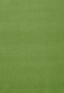 Gainsborough Velvet Grass 64576 by Schumacher Designer Fabric