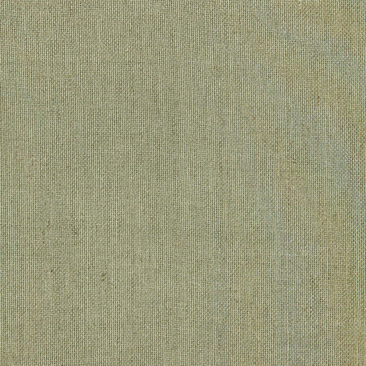 Beckton Weave Basil 64647 by Schumacher Designer Fabric CHROMA See Sample INDIA LIGHT DUTY </p><p>Repeat: Horizontal: - and Vertical: - 53" WIDE (135CM) - Swanky Fabrics -