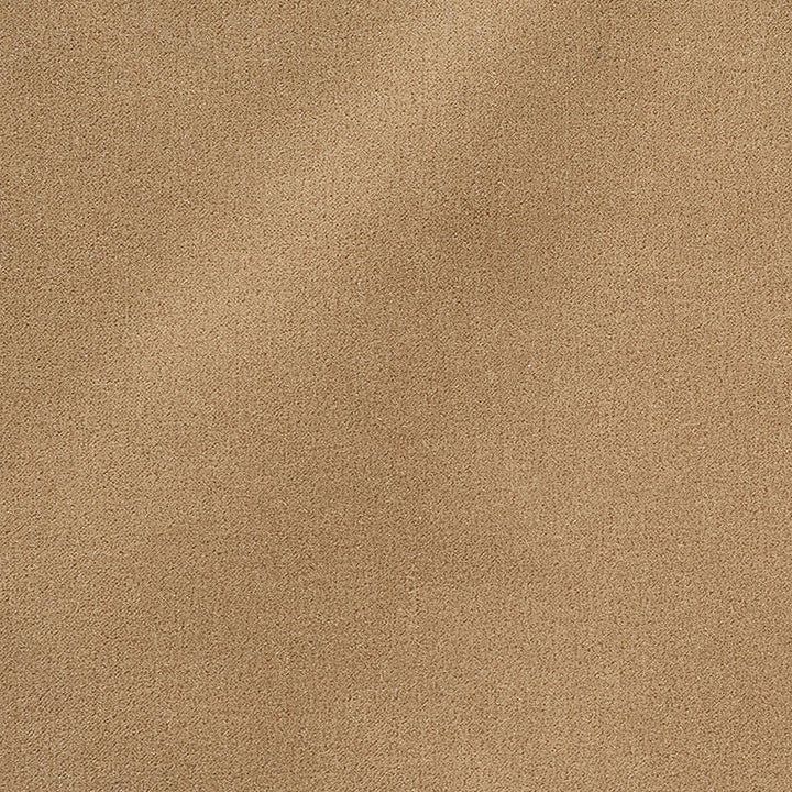 San Carlo Mohair Velvet Doe 64898 by Schumacher Designer Fabric PERFECT BASIC PALERMO AND SAN CARLO MOHAIRS See Sample NETHERLANDS HEAVY DUTY </p><p>Repeat: Horizontal: - and Vertical: - 55" WIDE (140CM) - Swanky Fabrics -