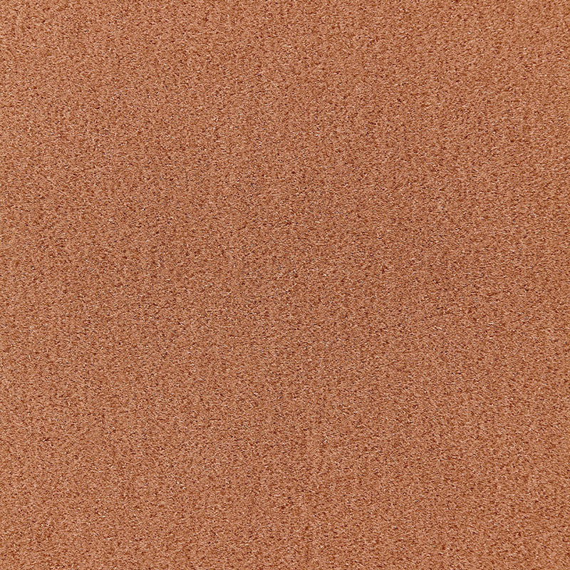 Palermo Mohair Velvet Camomile 64918 by Schumacher Fabric Schumacher Fabric Palermo Mohair Velvet Camomile 64918Fabric MOHAIR 51% NETHERLANDS </p><p>Repeat: H: , V: 55 - Fabric Carolina -