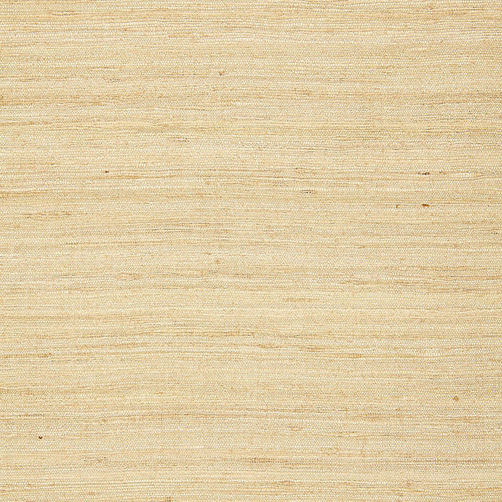 Chinon Silk Weave Candlelight 65121 by Schumacher Designer Fabric AU NATUREL See Sample INDIA LIGHT DUTY </p><p>Repeat: Horizontal: - and Vertical: - 53 1/2" WIDE (136CM) - Swanky Fabrics -