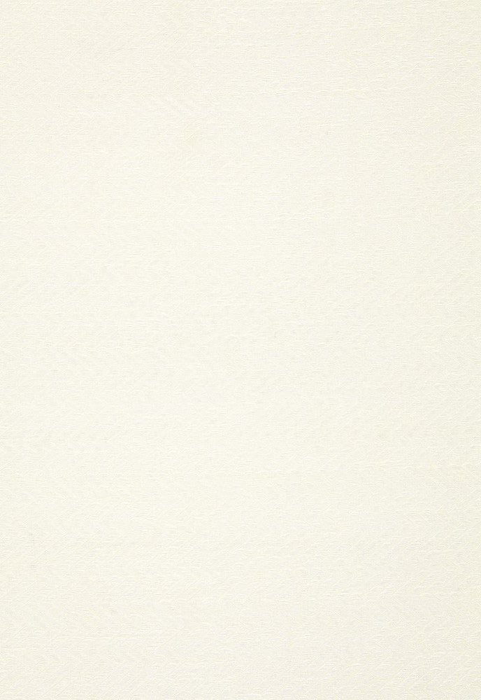 Lompret Linen Herringbone Chalk 65302 by Schumacher Designer Fabric Essentials-Sheers-Casements 100% Linen - Horizontal: 3/8- and Vertical: 1.75 120 - Swanky Fabrics -