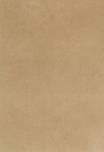 Bayeux Velvet Putty 65311 by Schumacher Designer Fabric