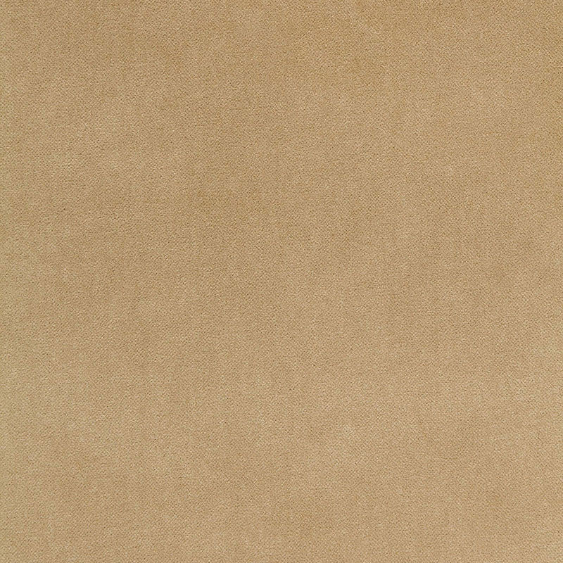 Bayeux Velvet Putty 65311 by Schumacher Designer Fabric AU NATUREL COTTON 66% POLYESTER 24% ITALY MARTINDALE 50,000 </p><p>Repeat: Horizontal: and Vertical: 57 - Swanky Fabrics -