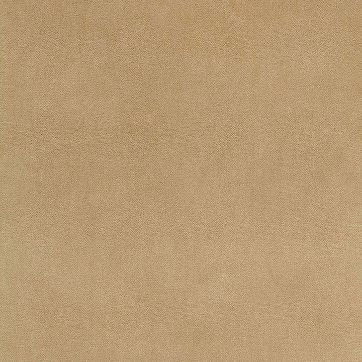 Bayeux Velvet Putty 65311 by Schumacher Designer Fabric AU NATUREL COTTON 66% POLYESTER 24% ITALY MARTINDALE 50,000 </p><p>Repeat: Horizontal: and Vertical: 57 - Swanky Fabrics -