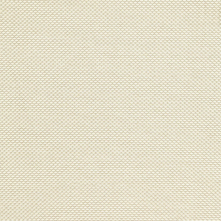 Medina Weave Ivory 65761 by Schumacher Fabric Schumacher Fabric Medina Weave Ivory 65761Fabric POLYESTER 100% INDIA </p><p>Repeat: H: HORZ. 1/4" (1CM) , V: VERT. 1/4" (1CM) 54 - Fabric Carolina -