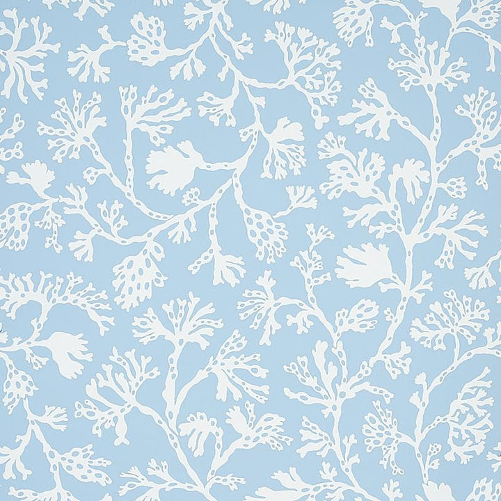 Anthoza Sky 5012130 by Schumacher Designer Wallpaper Signature Schumacher 27.0" - Swanky Fabrics -