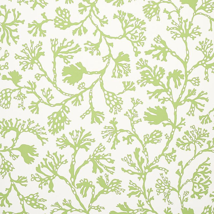 Anthoza Green 5012131 by Schumacher Designer Wallpaper Signature Schumacher 27.0" - Swanky Fabrics -