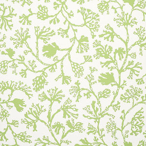 Anthoza Green 5012131 by Schumacher Designer Wallpaper