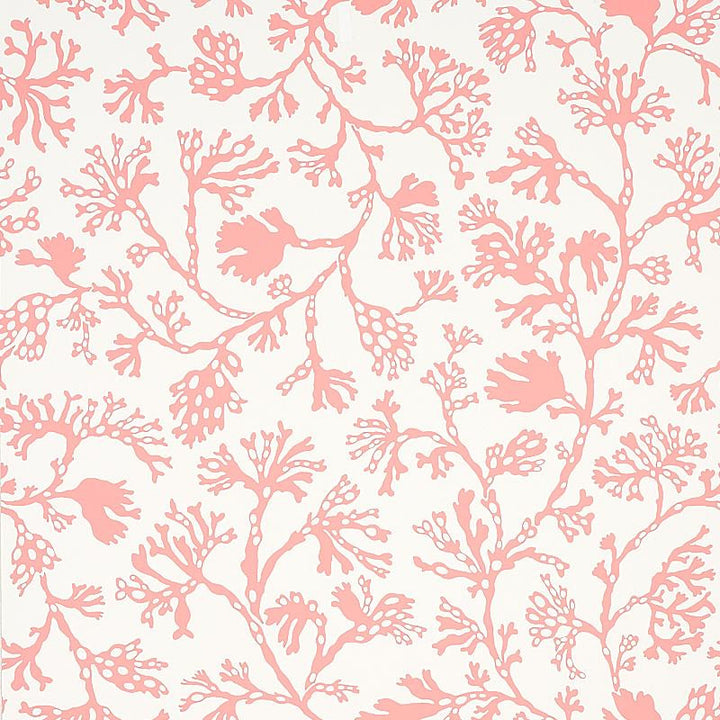 Anthoza Coral 5012132 by Schumacher Designer Wallpaper Signature Schumacher 27.0" - Swanky Fabrics -