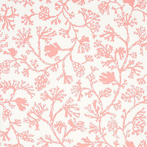 Anthoza Coral 5012132 by Schumacher Designer Wallpaper