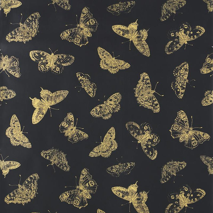 Burnell Butterfly Black 5011742 by Schumacher Designer Wallpaper Misterioso 27.0" - Swanky Fabrics -