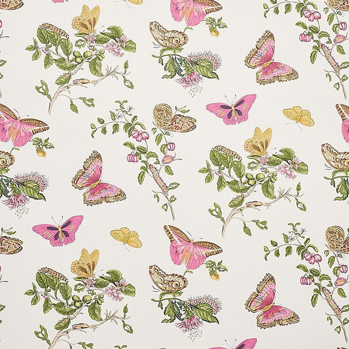 Baudin Butterfly Blush 5010690 by Schumacher Designer Wallpaper Signature Schumacher 26.78" - Swanky Fabrics -
