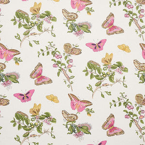 Baudin Butterfly Blush 5010690 by Schumacher Designer Wallpaper