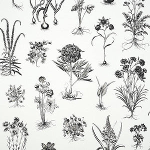 Cabot Botanical Large Ivory 5010640 by Schumacher Designer Wallpaper