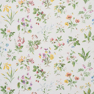 Floreana Berry 5010680 by Schumacher Designer Wallpaper