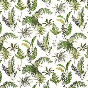 Les Fougeres Document 5010660 by Schumacher Designer Wallpaper